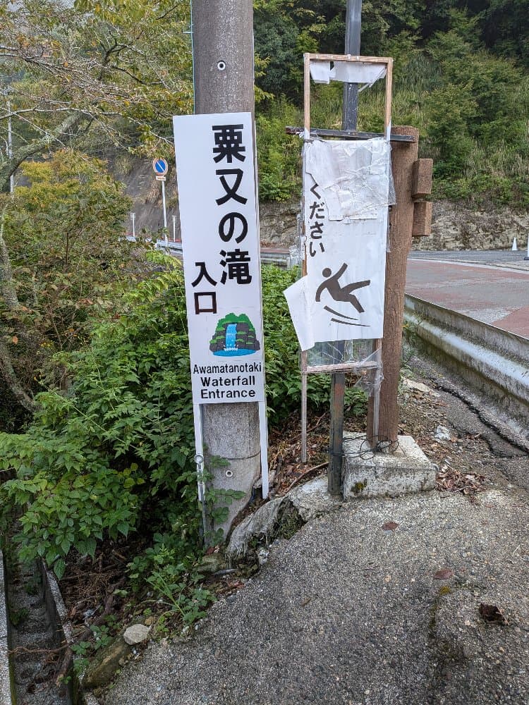 Slide 5