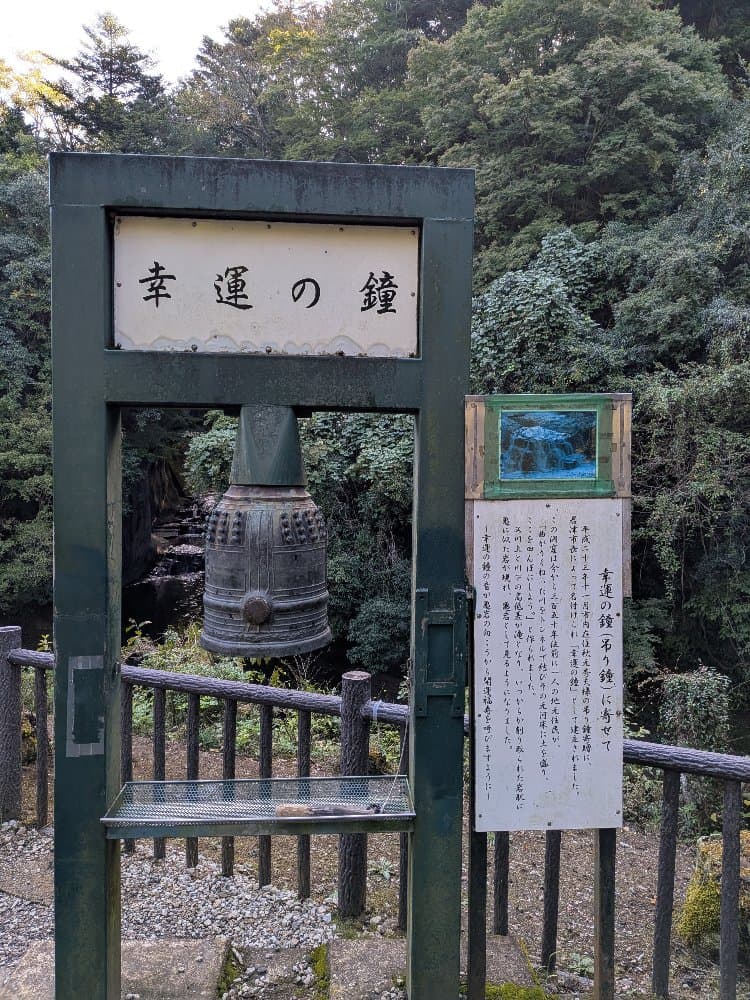 Slide 6