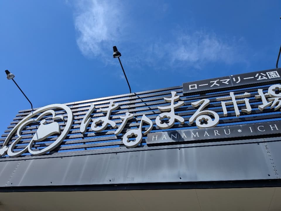 Slide 8